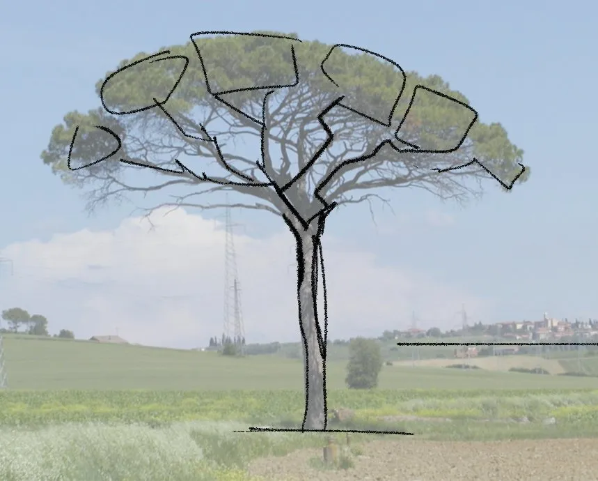 Solar tree study sketch
